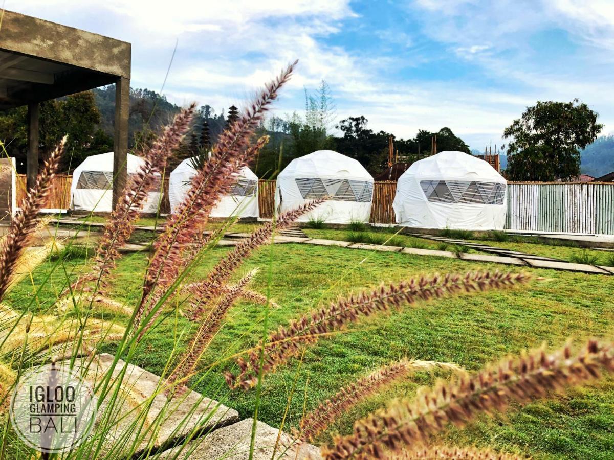 ホテル Igloo Glamping Bali Kintamani エクステリア 写真