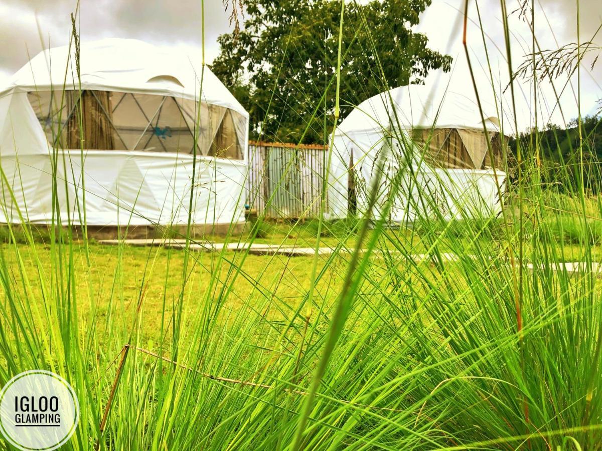 ホテル Igloo Glamping Bali Kintamani エクステリア 写真